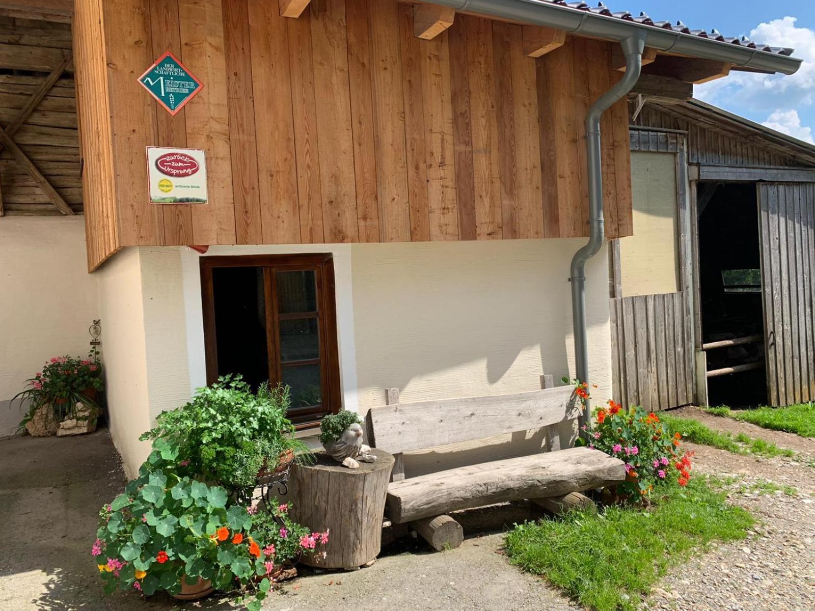 Biohof Goelly Villa Neumarkt in Steiermark Exterior foto