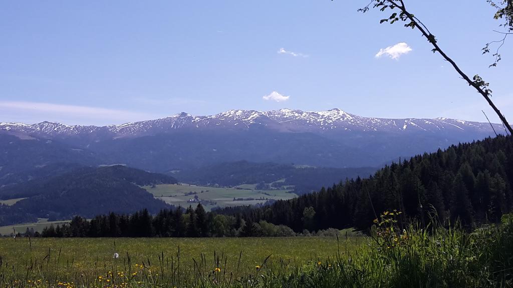 Biohof Goelly Villa Neumarkt in Steiermark Exterior foto